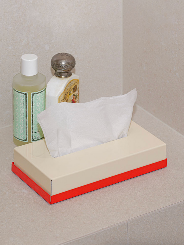 STANDARD TISSUE CASE L (REFILL TYPE)