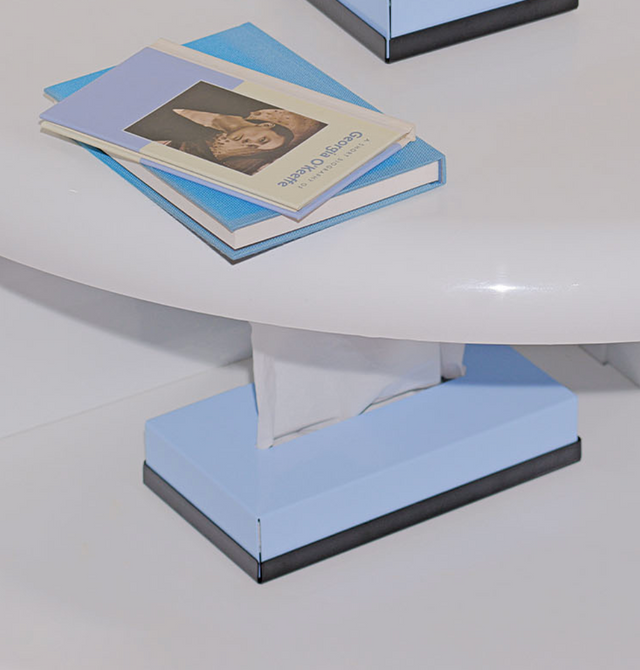 STANDARD TISSUE CASE L (REFILL TYPE)