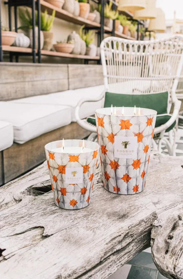 【現貨】Baobab ODYSSEE CALYPSO 卡利普索蠟燭