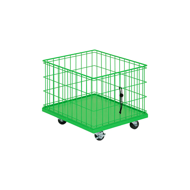 Rareraw-CITY BOYS BASKET