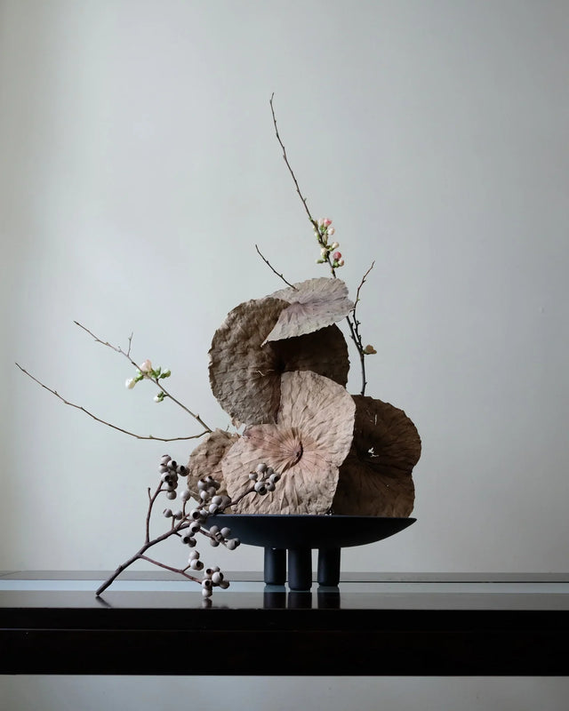 101 Copenhagen-鴨盤,迷你 - 咖啡色