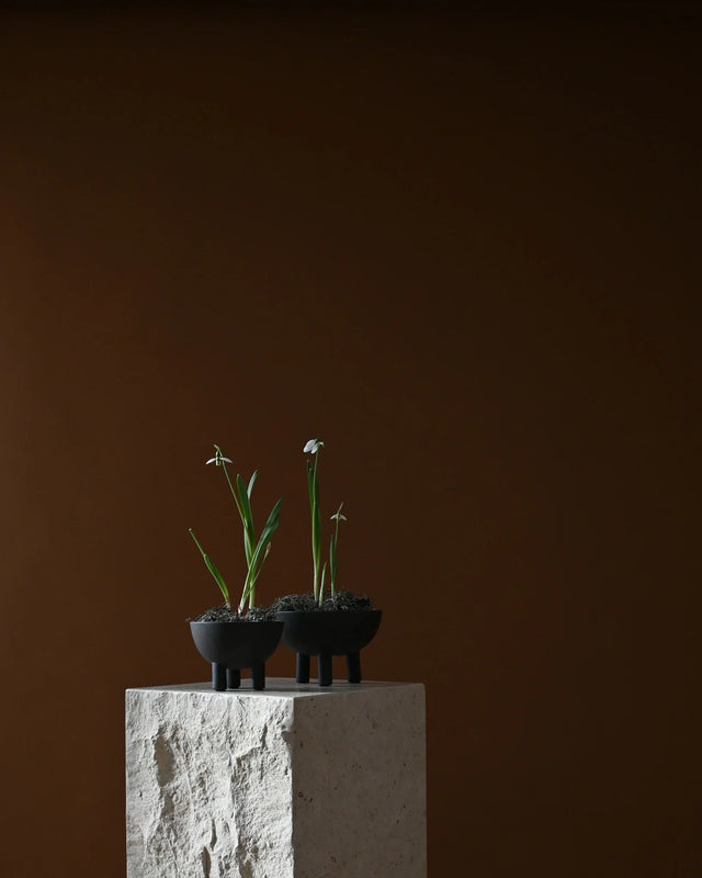 鴨碗,中 - 咖啡色