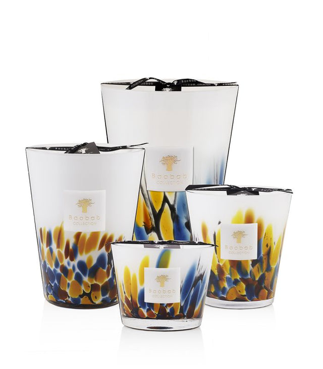 【現貨】Baobab RAINFOREST MAYUMBE 馬永貝蠟燭