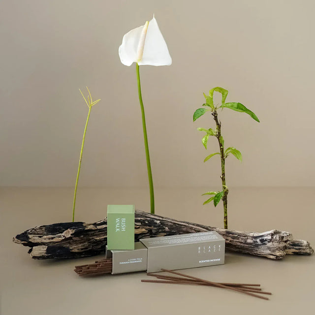 BLACK BLAZE-漫步灌木叢 Bush Walk 線香