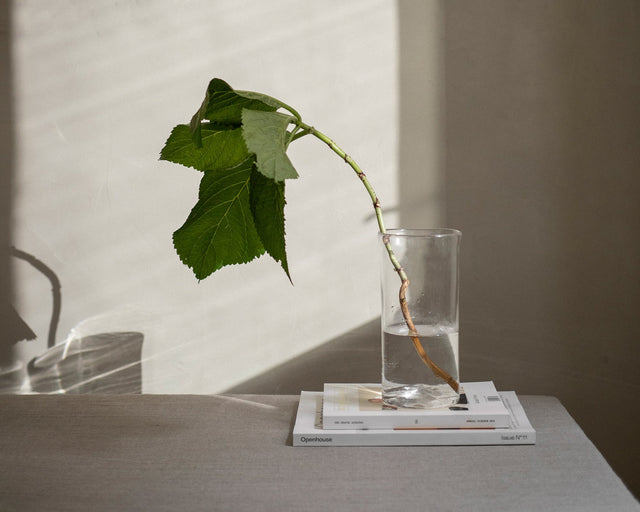 FRAMA-0405 Vase 花瓶 情境照