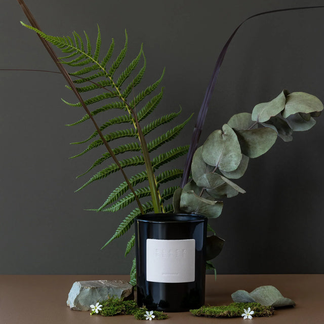 BLACK BLAZE-漫步灌木叢 Bush Walk 香氛蠟燭