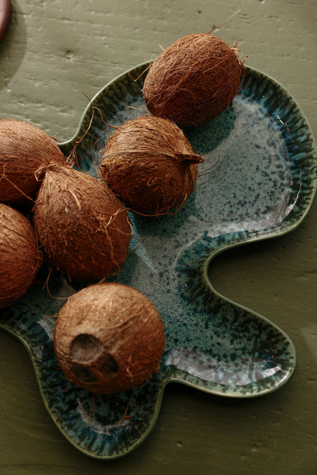 Hkliving-Shell plate