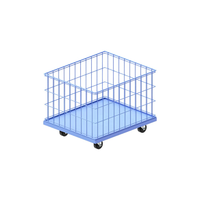Rareraw-CITY BOYS BASKET