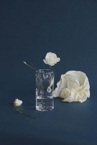 FRAMA-0405 Vase 花瓶 0405 Glass 2.jpg