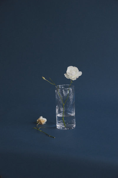 FRAMA-0405 Vase 花瓶 0405 Glass 1.jpg