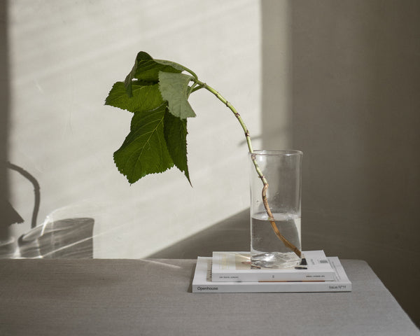 FRAMA-0405 Vase 花瓶 0405 Vase Clear Context 01.jpg